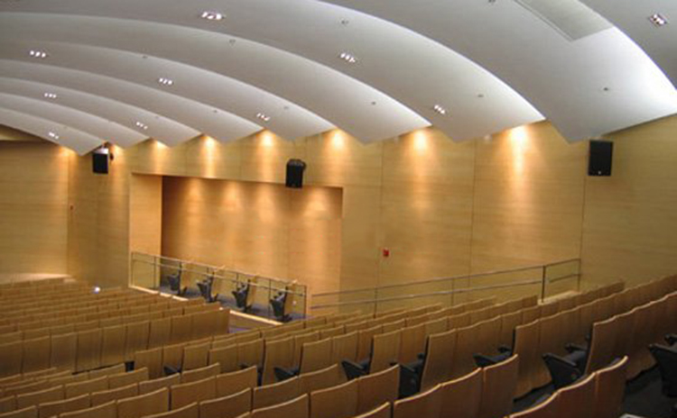 河南鄭州中學報告廳吸音板工程